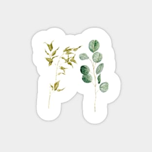 Two Eucalyptus Pieces Sticker